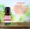 Rosemary Essential Oil - 100% Pure - Therapeutic Grade and Premium Quality - 10mL by Sponix