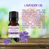 French Lavender Essential Oil - 100% Pure - Therapeutic Grade and Premium Quality - 10mL by Sponix