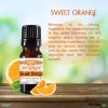 Sweet Orange Essential Oil - 100% Pure - Therapeutic Grade and Premium Quality - 10mL by Sponix