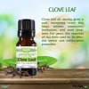 Clove Leaf Essential Oil - 100% Pure - Therapeutic Grade and Premium Quality - 10mL by Sponix