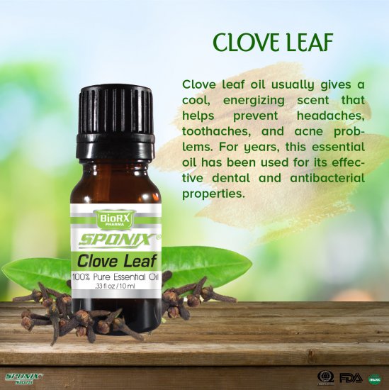 Clove Leaf Essential Oil - 100% Pure - Therapeutic Grade and Premium Quality - 10mL by Sponix - Click Image to Close
