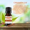 Cinnamon Leaf Essential Oil - 100% Pure - Therapeutic Grade and Premium Quality - 10mL by Sponix
