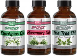 Top Essential Oil Gift Set - Best 3 Aromatherapy Oil - Eucalyptus, Rosemary, Tea Tree - Therapeutic Grade and Premium Quality -