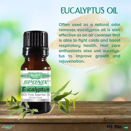 Eucalyptus Essential Oil - 100% Pure - Therapeutic Grade and Premium Quality - 10mL by Sponix - Click Image to Close