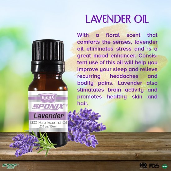 French Lavender Essential Oil - 100% Pure - Therapeutic Grade and Premium Quality - 10mL by Sponix - Click Image to Close
