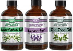 Top Essential Oil Gift Set - Best 3 Aromatherapy Oil - Eucal, Lvndr and Tea Tree - Therapeutic Grade and Premium Quality - 1 oz