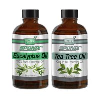 Top Essential Oil Gift Set - Best 2 Aromatherapy Oil - Eucalyptus and Tea Tree - Therapeutic Grade and Premium Quality - 4 oz Ea
