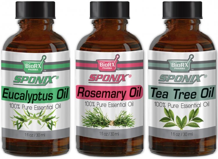 Top Essential Oil Gift Set - Best 3 Aromatherapy Oil - Eucalyptus, Rosemary, Tea Tree - Therapeutic Grade and Premium Quality - - Click Image to Close