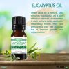 Eucalyptus Essential Oil - 100% Pure - Therapeutic Grade and Premium Quality - 10mL by Sponix